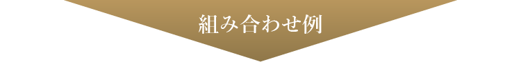 組み合わせ例